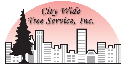 City Wide Tree Service